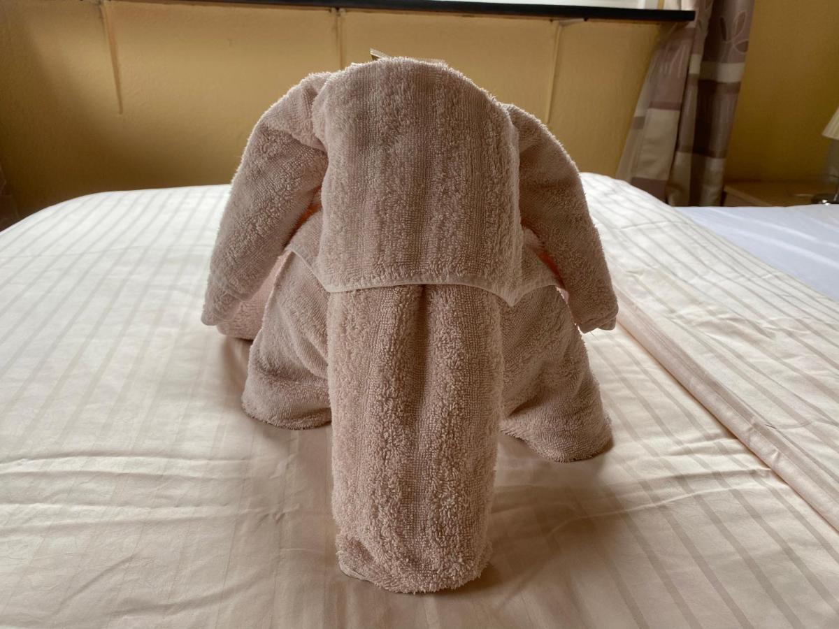 קושהאבן Hotel Meereswoge מראה חיצוני תמונה